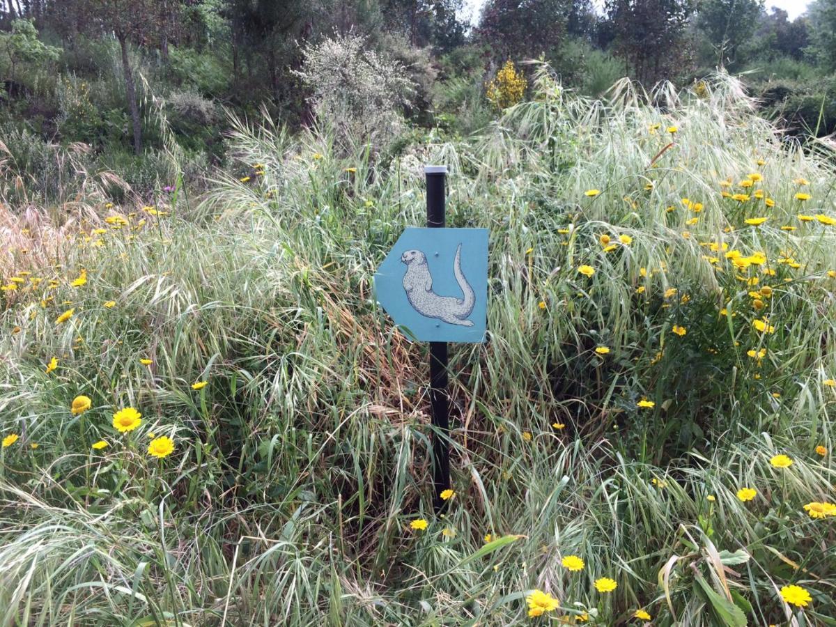 فيلا Quinta Da Lontra Tábua المظهر الخارجي الصورة