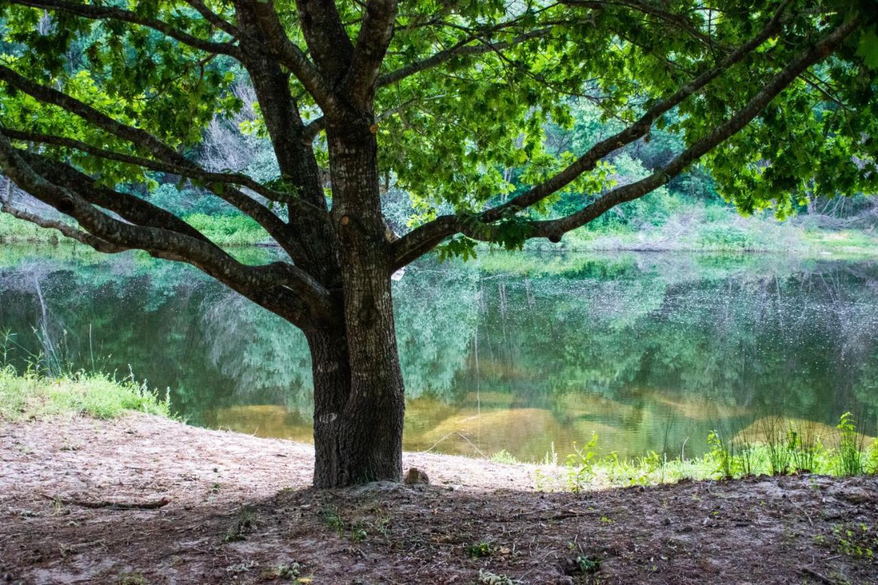 فيلا Quinta Da Lontra Tábua المظهر الخارجي الصورة
