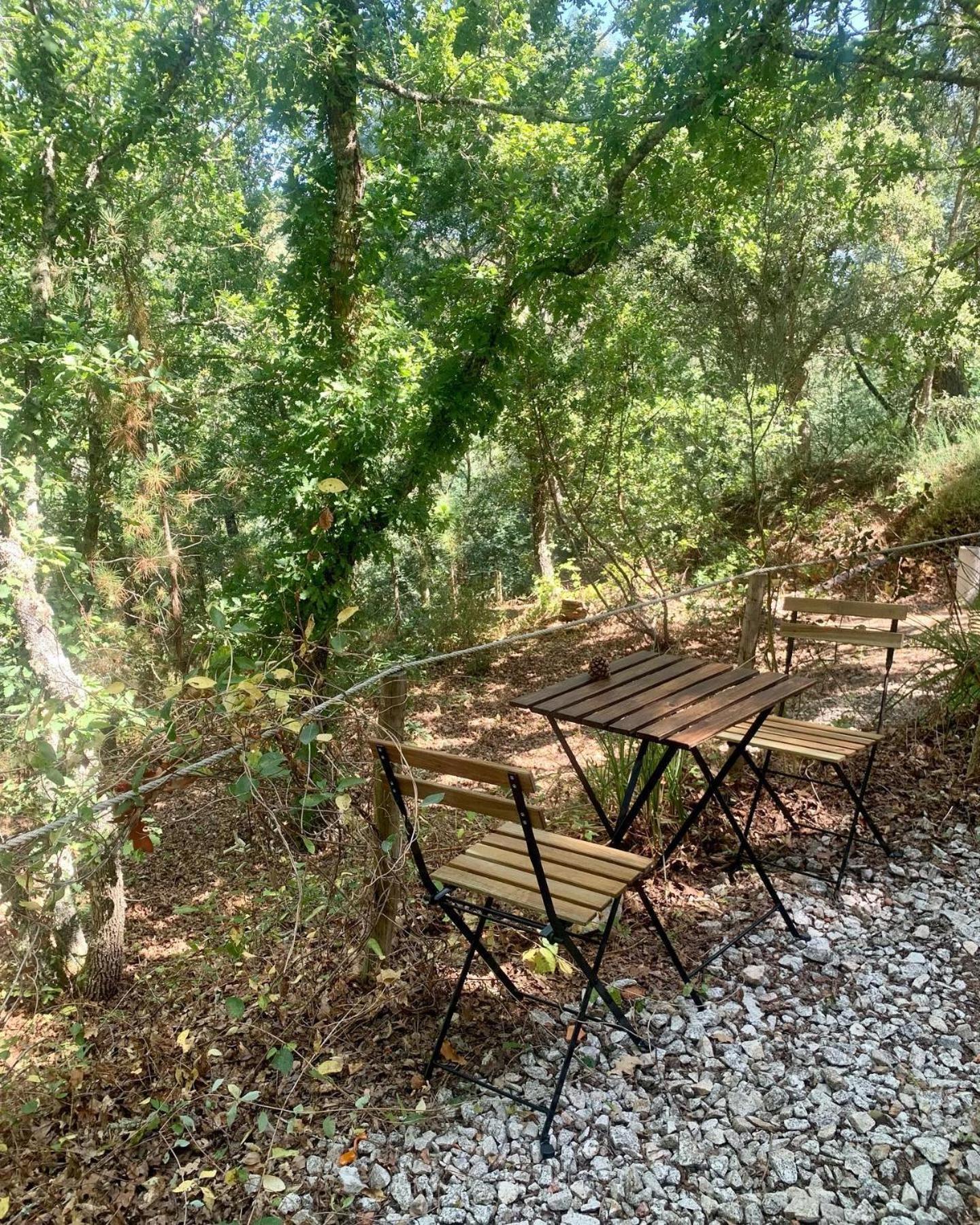 فيلا Quinta Da Lontra Tábua المظهر الخارجي الصورة