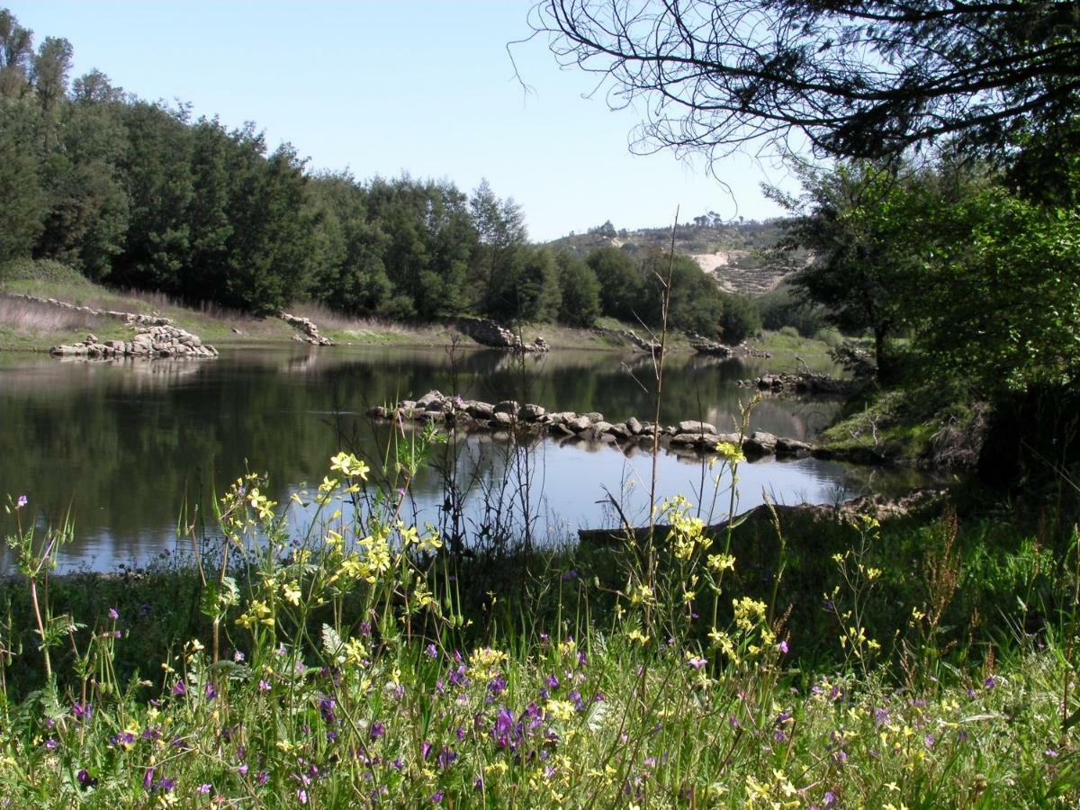 فيلا Quinta Da Lontra Tábua المظهر الخارجي الصورة